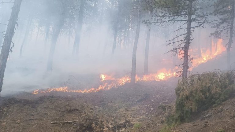 Çorum’da çıkan orman yangınında 2 hektar alan zarar gördü