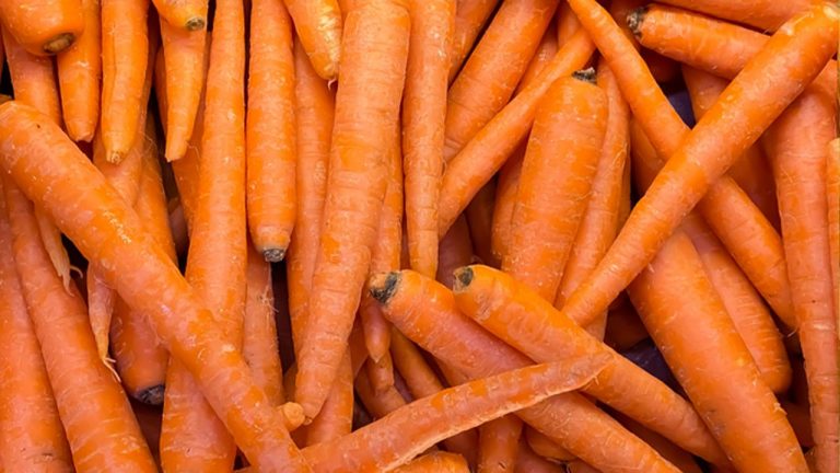 Havuçlarda anti-tümör özellikleri bulundu