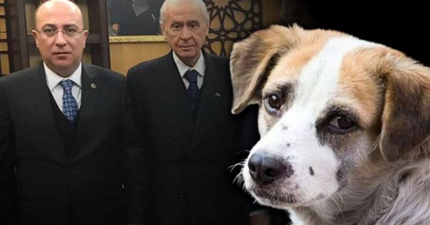 MHP’de ‘Katliam Yasası’ndan önemli hamle: Ulvi Yönter, Bahçeli’nin eski tweet’ini paylaştı – Son Dakika Siyasi Haber