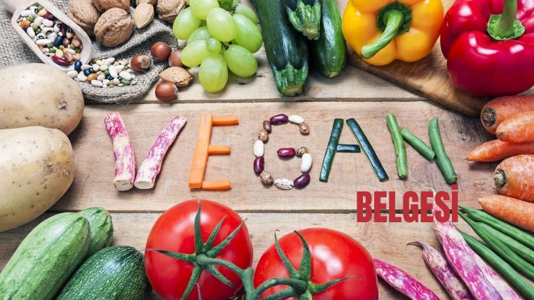 Vegan Belgesi Nedir? – Ürünler İçin Önemi ve Gereklilikleri