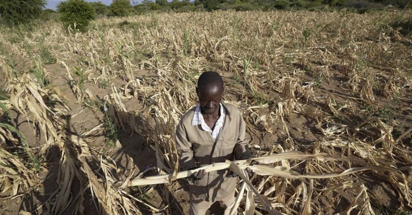 Güney Afrika’da aileler kızlarıyla yiyecek karşılığında evleniyor