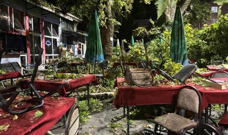 İzmir’de asırlık ağaç devrildi: 2’si ağır, 9’u yaralandı – Son Dakika Türkiye Haberleri