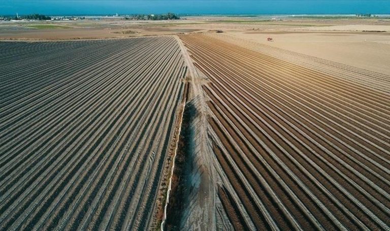 Türkiye’de iklim değişikliği ile gıda enflasyonu arasındaki ilişki incelendi – Son Dakika Ekonomi Haberleri