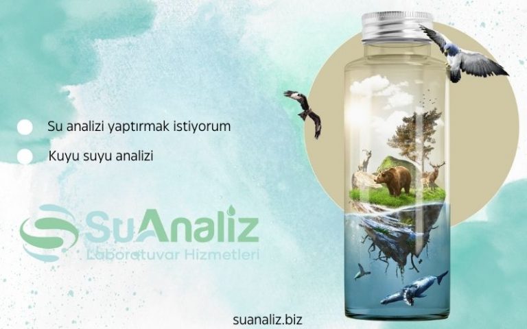 Kuyu Suyu Analiz Sonuçlarınızı Nasıl Yorumlamalısınız?