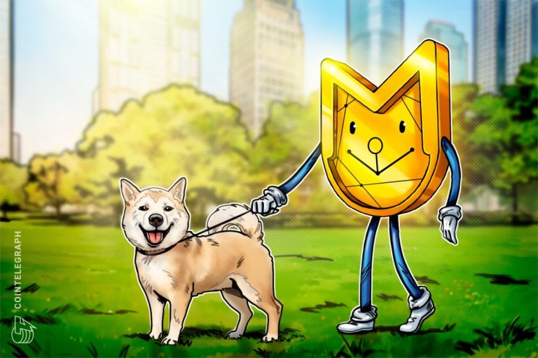 Neiro nedir? Neiro parası ne için kullanılır?