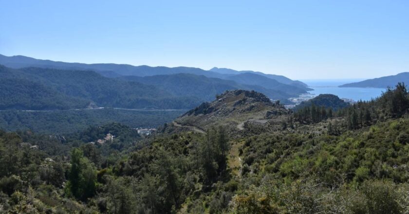Mukla Ormanlarına Girme – Son Dakika Haberleri