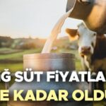 Çiğ Süt Fiyatları 2025 Ully Minutto Annuto | Çiğ süt fiyatı ne kadar, 1 litre süt fiyatı kaç tane arttı?