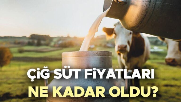 Çiğ Süt Fiyatları 2025 Ully Minutto Annuto | Çiğ süt fiyatı ne kadar, 1 litre süt fiyatı kaç tane arttı?