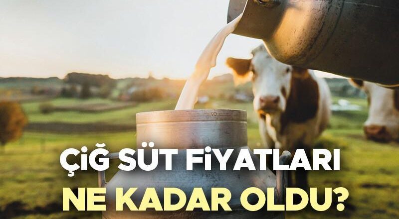 Çiğ Süt Fiyatları 2025 Ully Minutto Annuto | Çiğ süt fiyatı ne kadar, 1 litre süt fiyatı kaç tane arttı?
