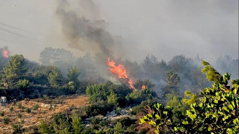 Mersin’in Silifke Bölgesi’ndeki ormancılık ateşi müdahale ediyor