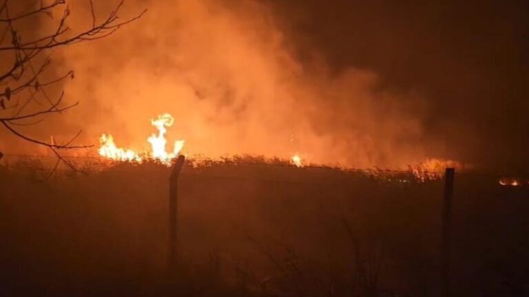 Sülüklü Göl’de sazlıklar alev aldı