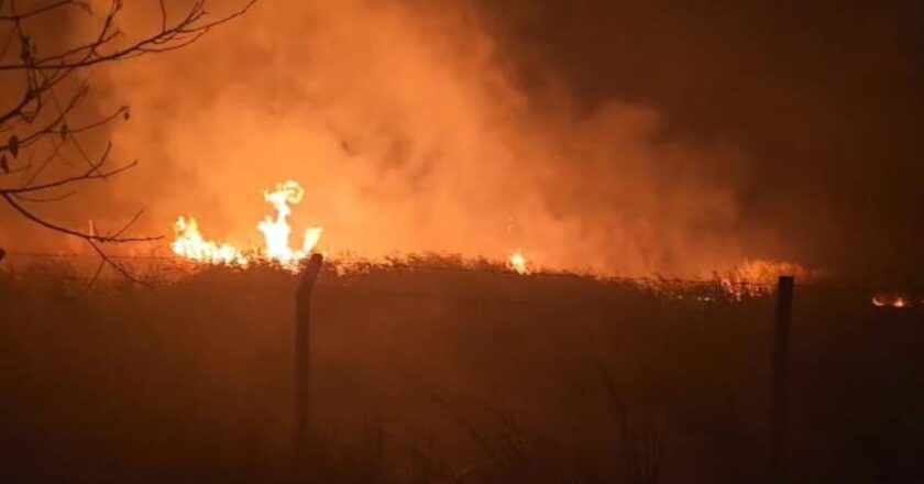 Sülüklü Göl’de sazlıklar alev aldı