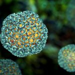 Hayvanlardan insanlara bulaşan ölümcül salgın yayılıyor: 29 kişinin ölümüne neden oldu!