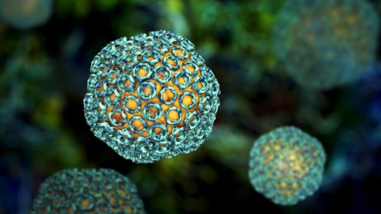 Hayvanlardan insanlara bulaşan ölümcül salgın yayılıyor: 29 kişinin ölümüne neden oldu!