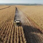 Kasım Ayında Tarım ÜFE’de Aylık Düşüş Gerçekleşti